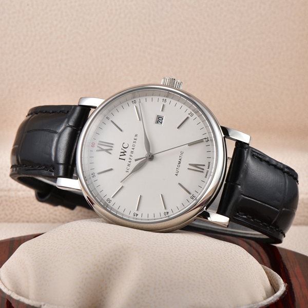 アイ・ダブリュー・シー背面デザイン